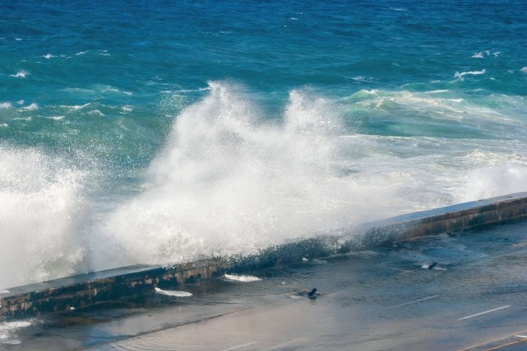 8 Different Types of Seawalls, Retaining Wall in the Market