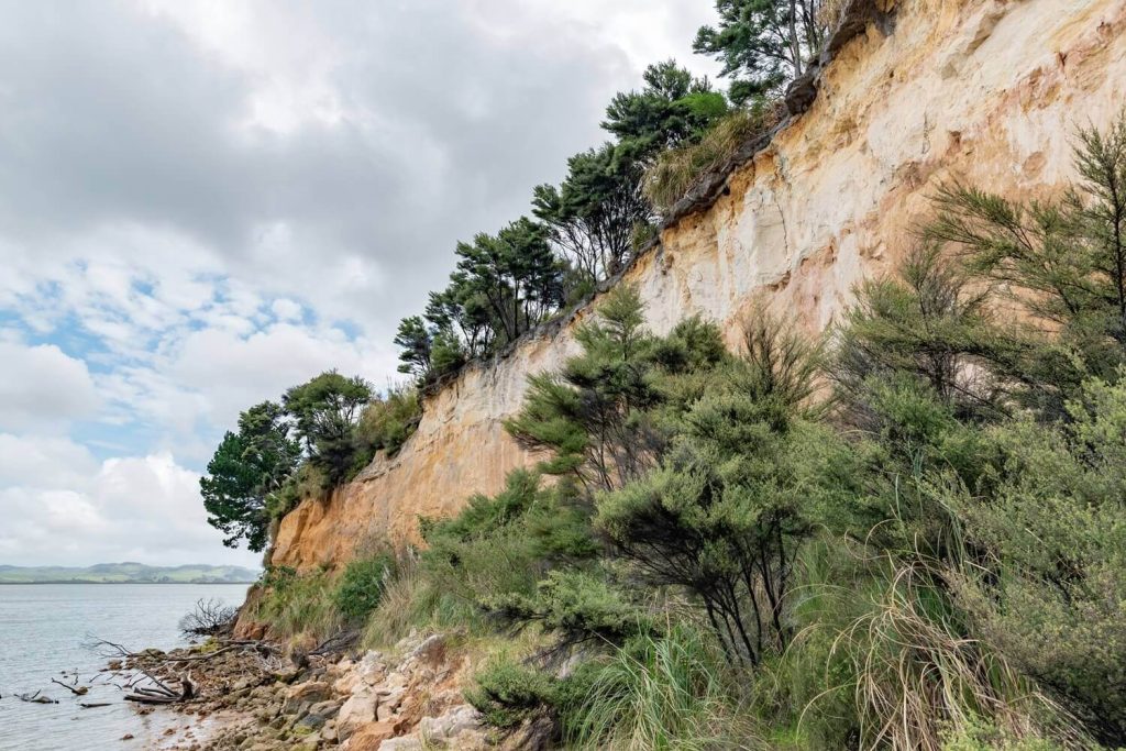 sandstone cliff coastal erosion control